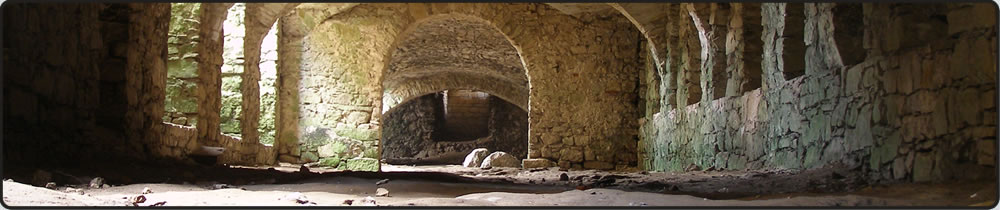 Cellar Rubbish Removal