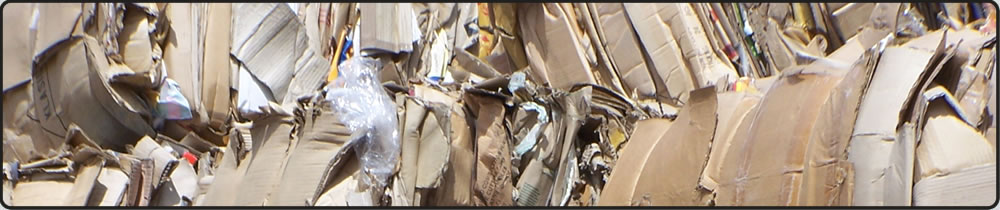 Cardboard Collections